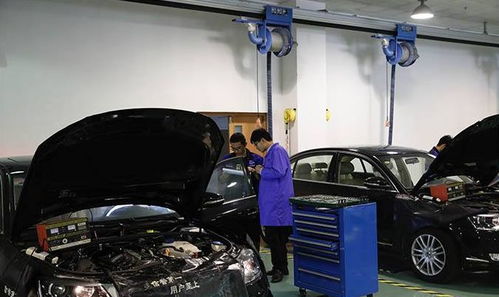 汽车报废需要多少油费 汽车报废需要多少油费