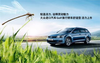 麦浪汽车多少钱 麦浪汽车多少钱