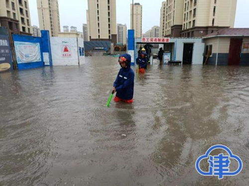 汽车涉水趴窝多少费用