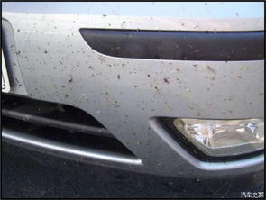 海鸥汽车油漆厚度多少 海鸥汽车油漆厚度多少