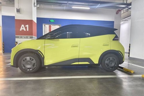 海鸥汽车油漆厚度多少 海鸥汽车油漆厚度多少