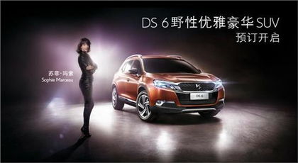 宜宾ds汽车估价多少 宜宾ds汽车估价多少