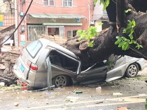 台风汽车被淹了多少 台风汽车被淹了多少