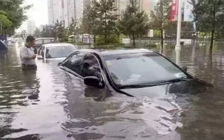 台风汽车被淹了多少 台风汽车被淹了多少