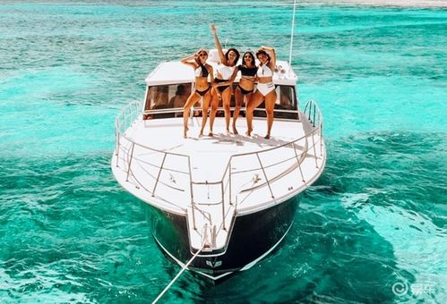 游艇汽车油耗多少升 游艇汽车油耗多少升