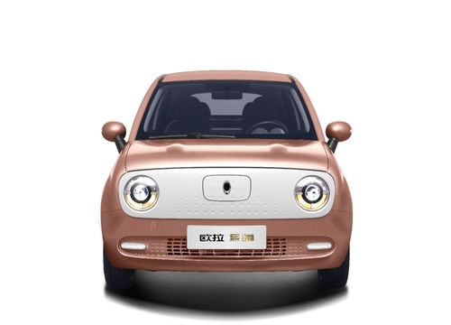 汽车蛙王多少钱 汽车蛙王多少钱