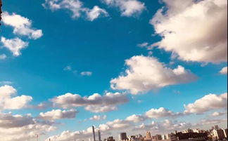 大连天空现“窟窿云” 大连天空现“窟窿云”