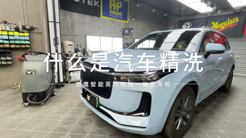 瑞安汽车精洗多少