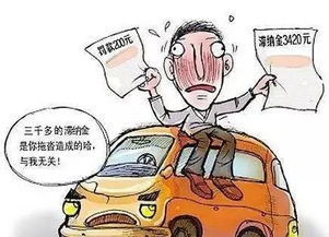 汽车违章最多罚款多少 汽车违章最多罚款多少