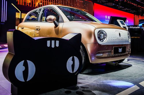 黑猫汽车充电电压多少