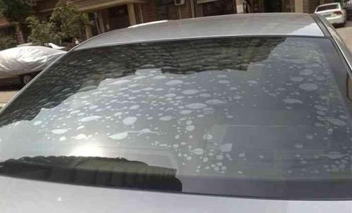 汽车贴膜讲价多少 汽车贴膜讲价多少