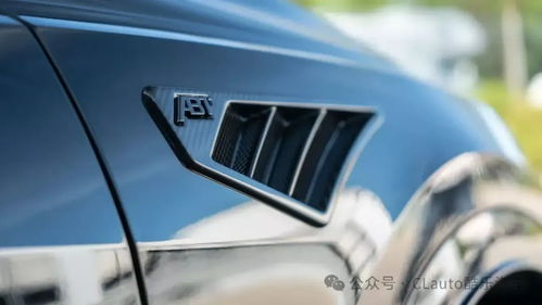 汽车黑化费用多少