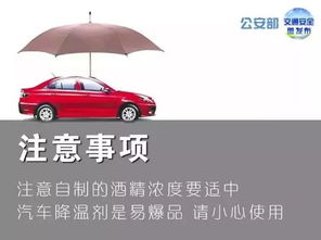 汽车可以放多少饮料 汽车可以放多少饮料