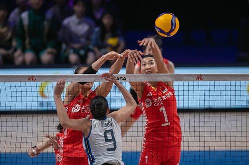 中国女排0-3不敌意大利 中国女排0-3不敌意大利