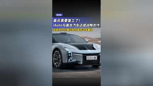 高合汽车投资多少 高合汽车投资多少