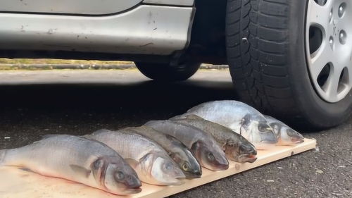 汽车碾压大概多少重量 汽车碾压大概多少重量