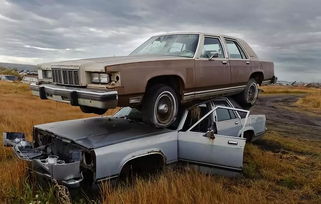 沃尔顿汽车价格多少