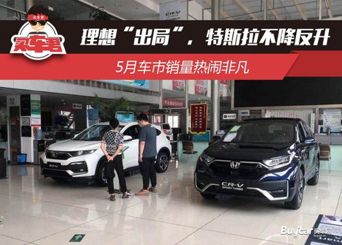 非凡汽车订购量多少