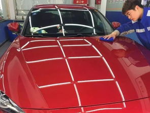 廉江汽车打蜡价格多少