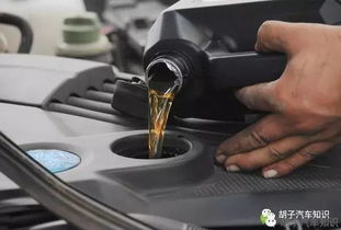 汽车机油尺剩多少 汽车机油尺剩多少