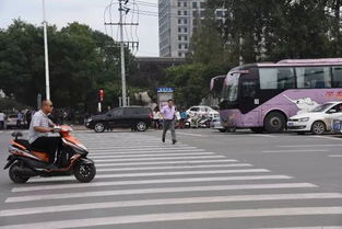 椒江汽车逆行罚款多少