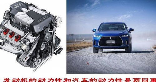 泰达汽车整备质量多少 泰达汽车整备质量多少