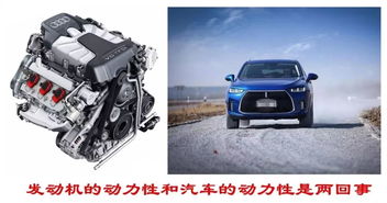 泰达汽车整备质量多少 泰达汽车整备质量多少