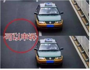 汽车违章有多少种类 汽车违章有多少种类