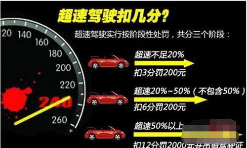 汽车违章分多少类