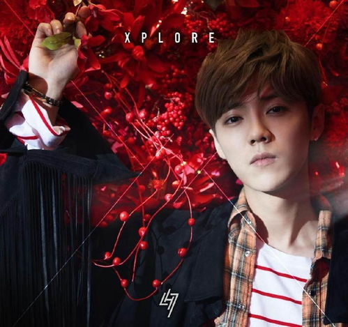 黄子韬徐艺洋去看了鹿晗演唱会 黄子韬徐艺洋去看了鹿晗演唱会