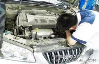 新疆汽车水箱报价多少 新疆汽车水箱报价多少