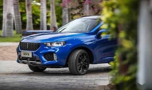 wey 300汽车售价多少 wey 300汽车售价多少