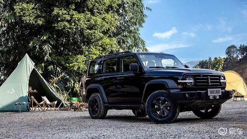 wey 300汽车售价多少 wey 300汽车售价多少