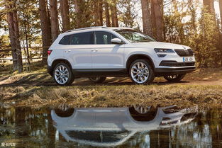 汽车油瓶多少克合适