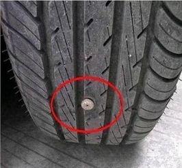 汽车防滑影响多少动力 汽车防滑影响多少动力