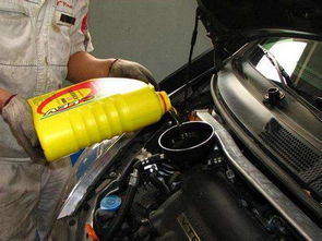 汽车机油费用多少