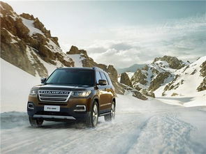 汽车11是多少升 汽车11是多少升