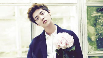 鹿晗手机屏保疑似是和关晓彤的合照 鹿晗手机屏保疑似是和关晓彤的合照