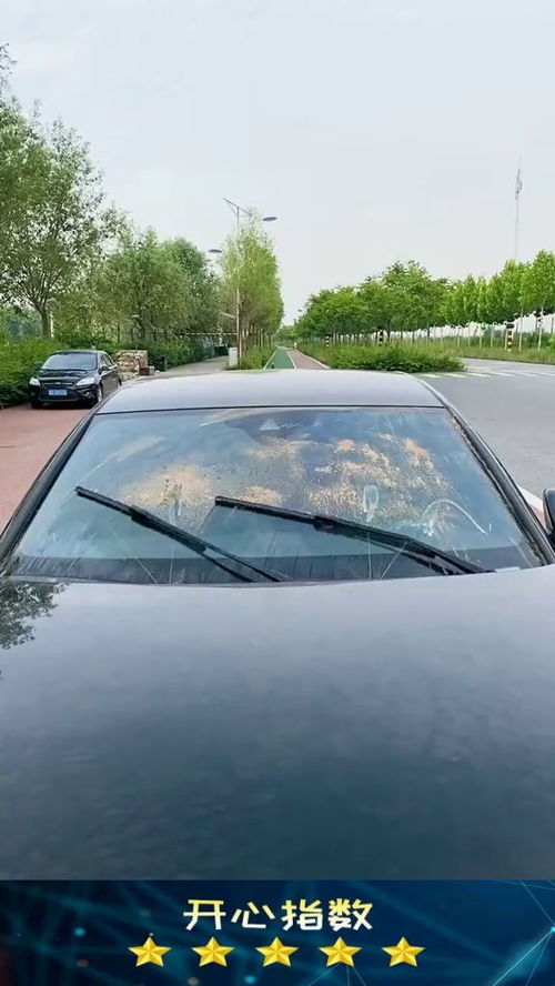 汽车泡腾片放多少片 汽车泡腾片放多少片