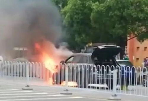 理想汽车自燃率多少 理想汽车自燃率多少