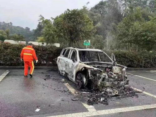 理想汽车自燃率多少 理想汽车自燃率多少