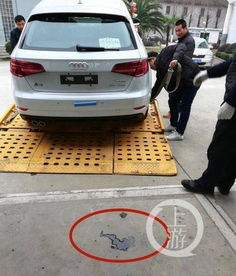汽车邮箱漏油赔偿多少 汽车邮箱漏油赔偿多少