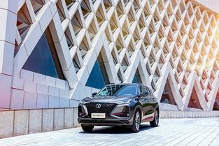 汽车中网包装体积多少 汽车中网包装体积多少