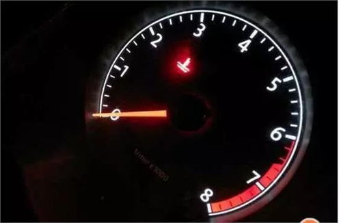 汽车后背箱多少温度