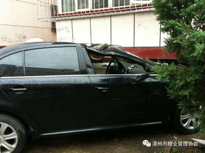 汽车掉皮多少钱 汽车掉皮多少钱