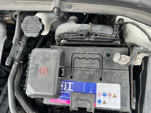 汽车骆驼电瓶多少伏 汽车骆驼电瓶多少伏