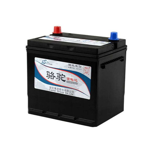 汽车骆驼电瓶多少伏 汽车骆驼电瓶多少伏