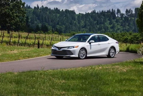 汽车汽油热效率多少 汽车汽油热效率多少