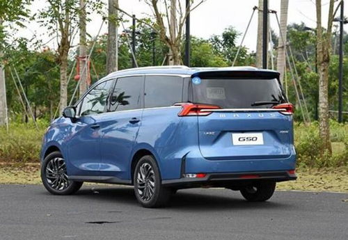 大通汽车尺寸是多少 大通汽车尺寸是多少