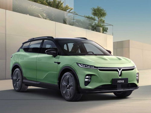 岚图汽车多少气囊 岚图汽车多少气囊